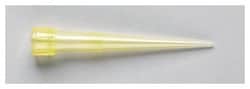 Fisherbrand™ Pipette-Specific Tips