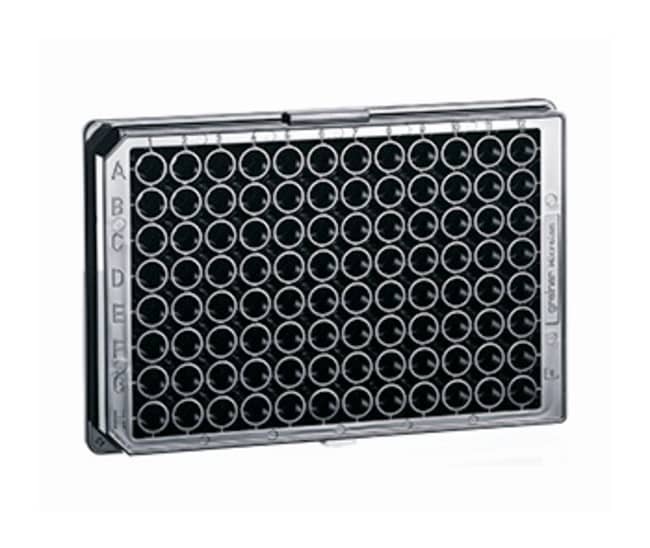 Greiner Bio-One CELLSTAR™ 96-Well Black Cell Culture-Treated Flat-Bottom Microplate