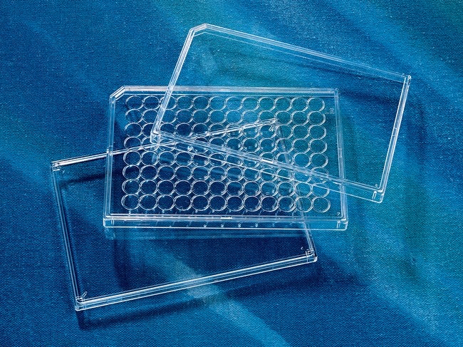Corning™ General Assay Microplate Lids