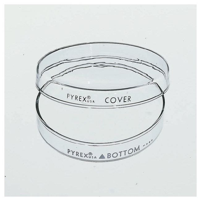 Corning™ PYREX™ Reusable Petri Dishes, Complete, 150 mm