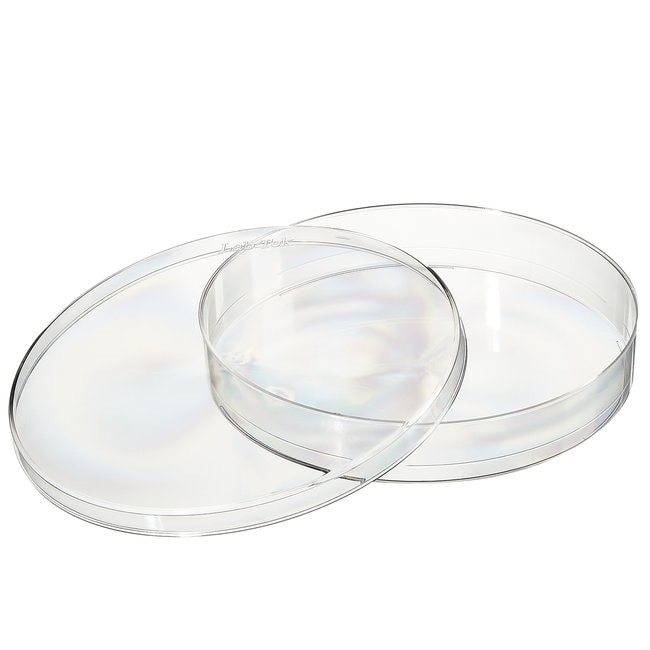 Thermo Scientific™ Nunc™ Deep Form Bacteriology Petri Dishes, 150 mm