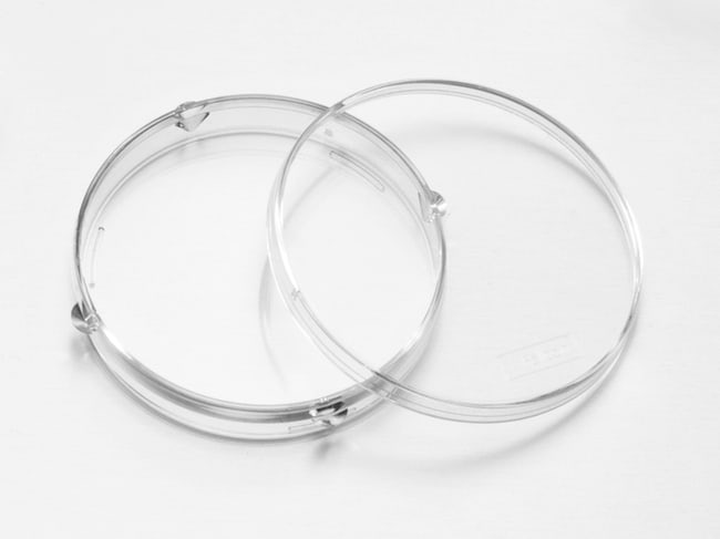 Falcon™ In Vitro Fertilization Plasticware Dish