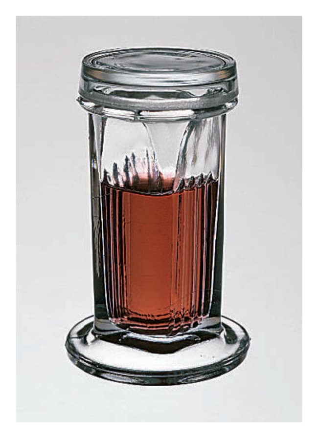 Fisherbrand™ Glass Staining Dishes for 10 Slides, with Ground-Glass Cover