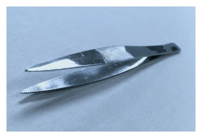 Fisherbrand™ Dissecting Blunt-Pointed Forceps