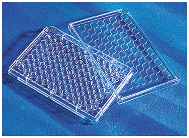 Corning™ Costar™ 96-Well Cell Culture-Treated Flat-Bottom Microplate