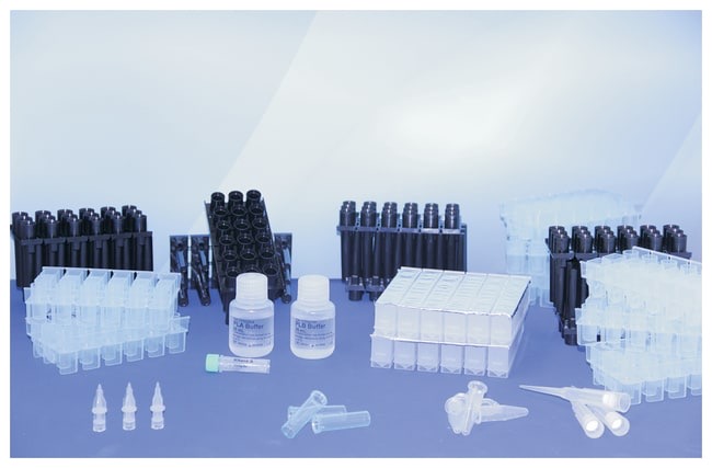 MP Biomedicals™ MPure™ Plant DNA Extraction Kit