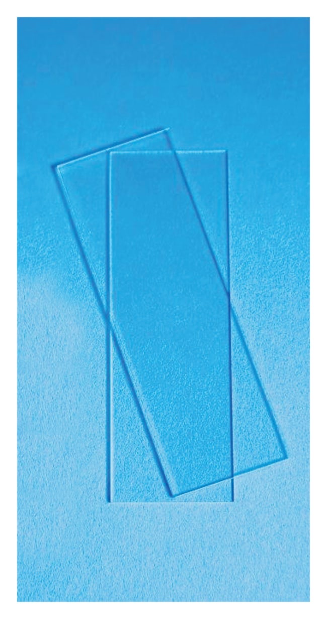 Fisherbrand™ Economy Plain Glass Microscope Slides