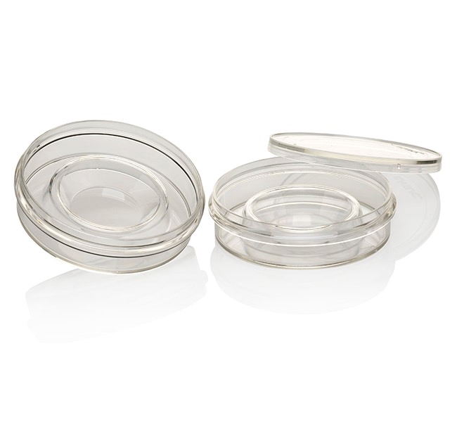 Thermo Scientific™ Nunc™ IVF Center Well Dish