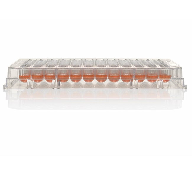 Thermo Scientific Nunc MicroWell 96-Well Microplates 160