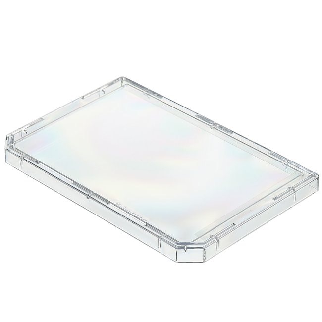 Fisherbrand™ Lid for 96/384-Well Polystyrene Plates