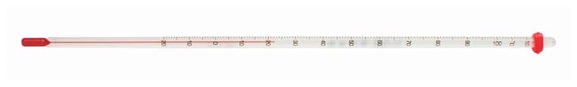 Fisherbrand™ General Purpose Liquid-in-Glass Total Immersion Thermometers, Blue Organic Fill
