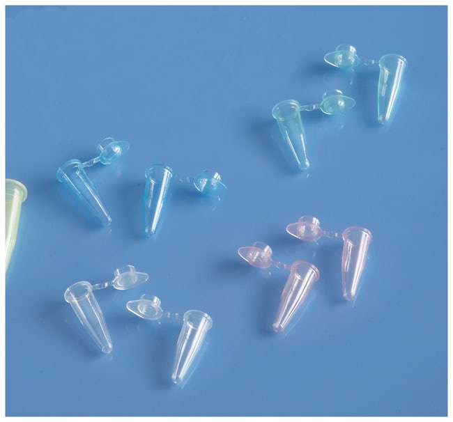 Fisherbrand™ 0.2 mL PCR Tubes