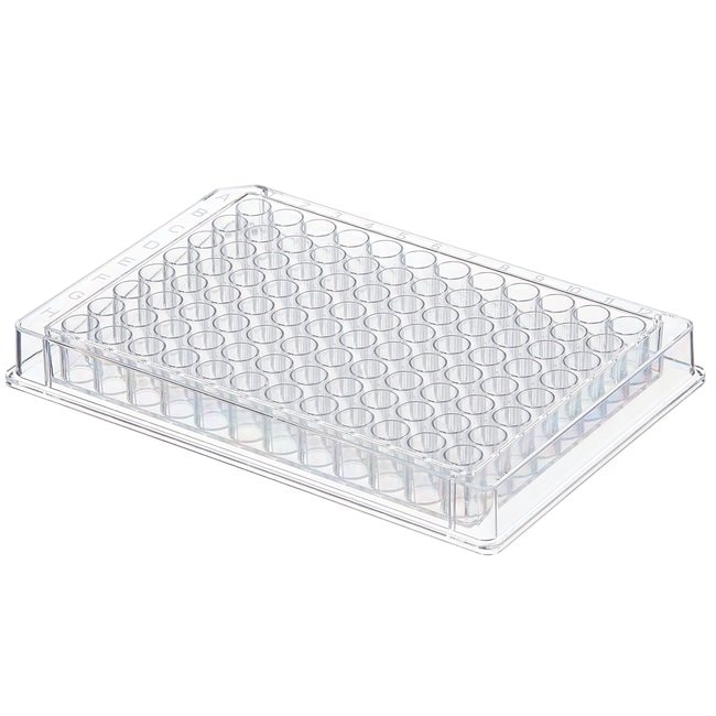 Fisherbrand™ 96-Well Plates