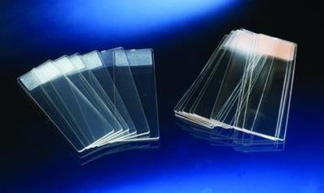 Electron Microscopy Sciences Polystyrene Microscope Slide