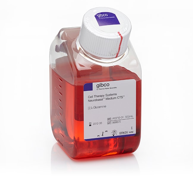 Gibco™ CTS™ Neurobasal™ Medium