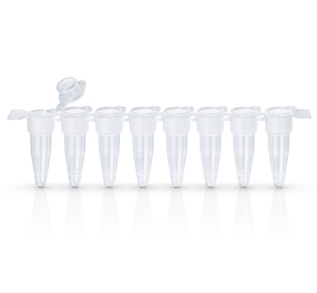 Thermo Scientific™ ABgene™ EasyStrip™ Plus Tube Strip with Attached Flat Caps