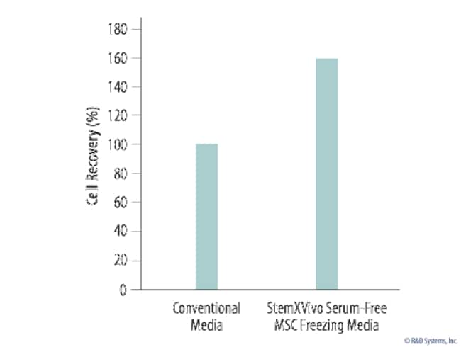R&D Systems™ StemXVivo Serum-Free MSC Freezing Media