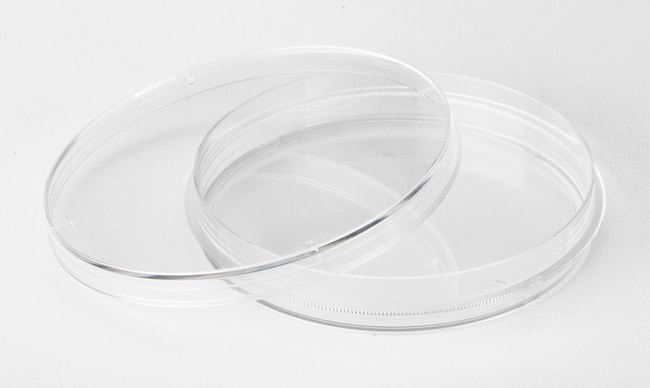 Fisherbrand™ Surface-Treated Tissue Culture Dishes