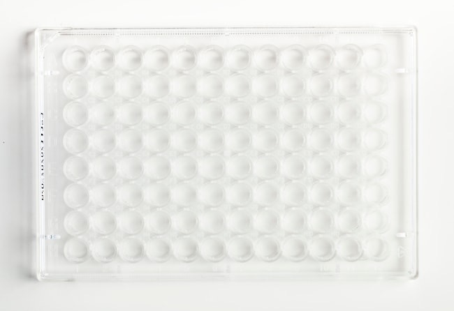 Fisherbrand™ 96-Well, Cell Culture-Treated, Flat-Bottom Microplate