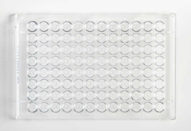 Fisherbrand™ 96-Well, Cell Culture-Treated, U-Shaped-Bottom Microplate