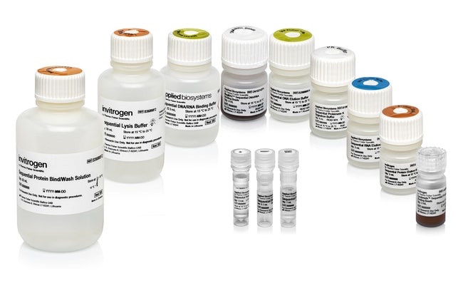 Thermo Scientific™ Sequential Protein/DNA/RNA Extraction Kit