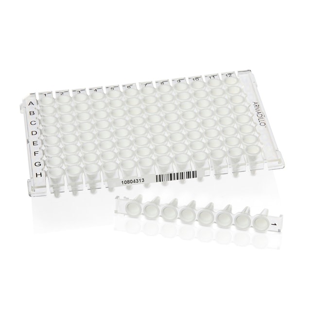 Thermo Scientific™ Armadillo™ PCR Strip Plate, 96-Well, Clear
