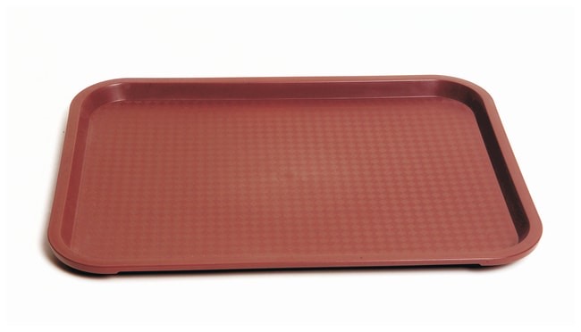 United Scientific™ Plastic Lab Trays
