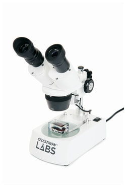 Celestron™ S10-60 Stereo Microscope