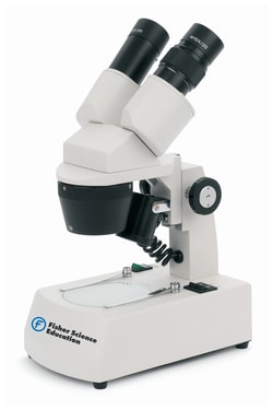 Fisher Science Education™ Intermediate Stereomicroscopes
