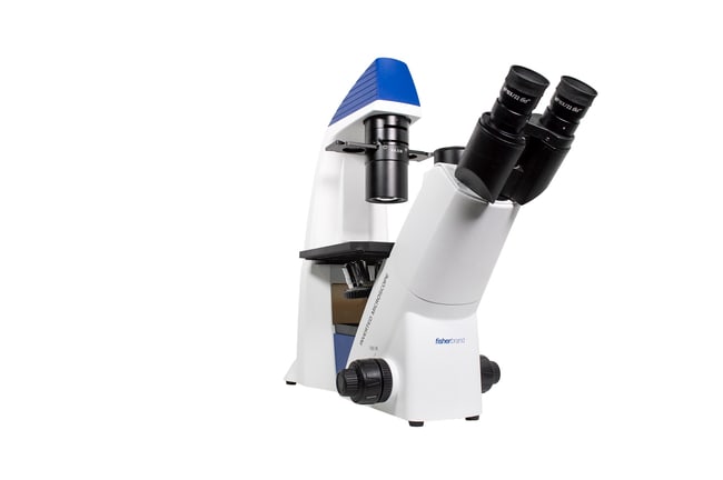Fisherbrand™ Entry Level Research Grade Inverted Microscope