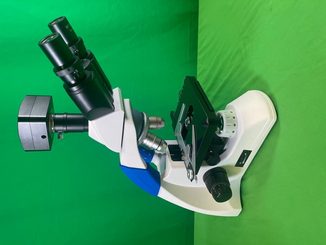 Fisher Science Education™ Compound Upright Digital Microscope with 5MP Color Camera