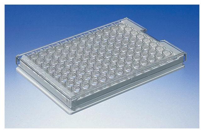 Corning™ Clear Polystyrene High-Bind Stripwell™ Strips, Non-Sterile