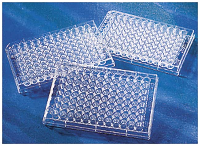 Corning Clear Polystyrene 96-Well Microplates Flat Bottom (F-well)
