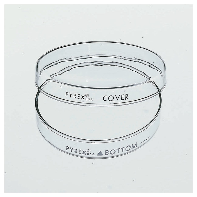 Corning™ PYREX™ Reusable Petri Dishes, Complete, 150 mm