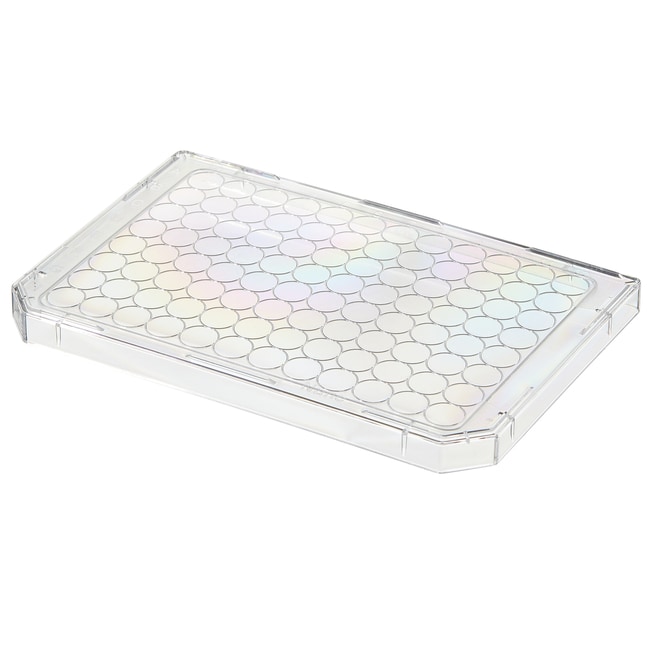 Thermo Scientific™ Nunc™ Microplate Lids