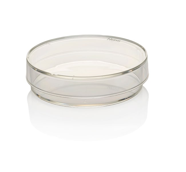 Thermo Scientific™ Nunc™ IVF Dishes