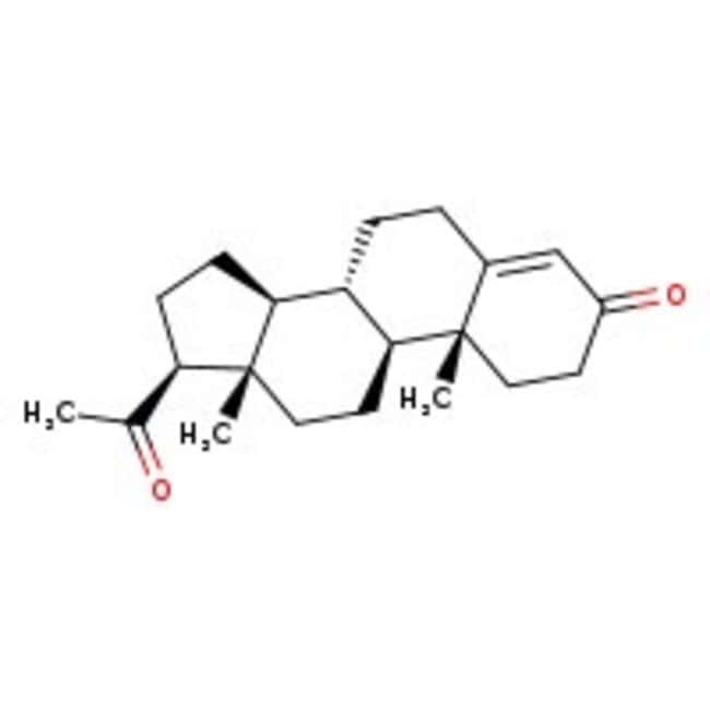Progesterone, Micronized Powder, USP, 97-103%, Spectrum™ Chemical