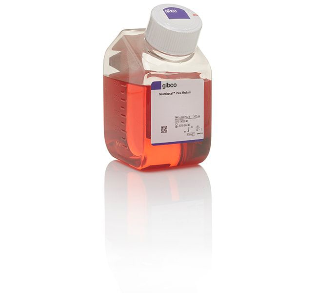 Gibco™ Neurobasal™ Plus Medium
