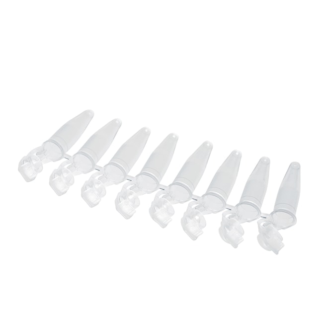 Eppendorf™ PCR Tubes — Singles and Strips