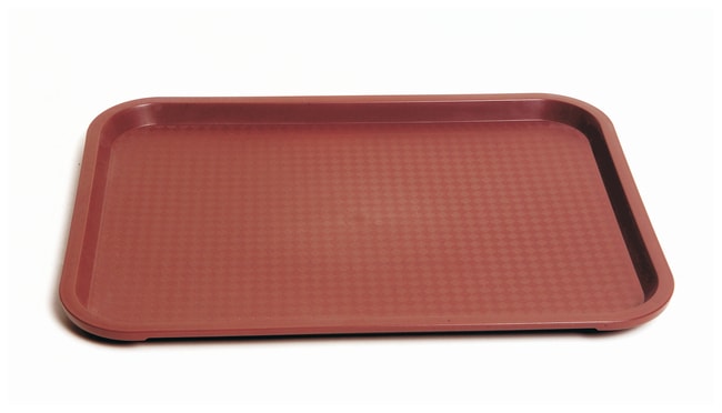 United Scientific™ Plastic Lab Trays